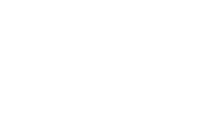 Flow White Logo Flow White Logo